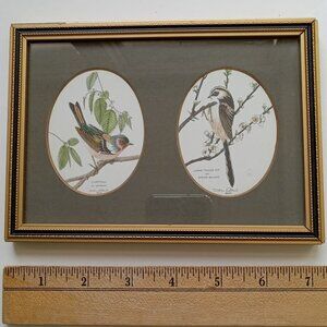 VTG John Morland Birds Hand Colored Glastonbury Print Framed Made in England